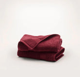 Plush Hand Towels (Pair) Holly