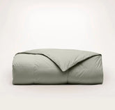 Percale Quilted Down Alternative Comforter Sageleaf