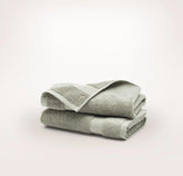 Plush Hand Towels (Pair) Sageleaf