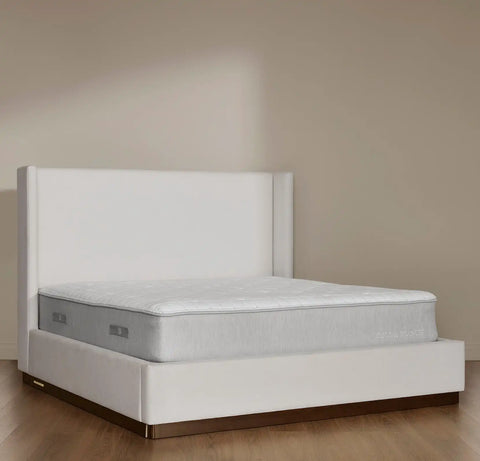 The Mattress The Mattress