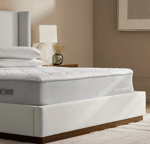 The Mattress The Mattress