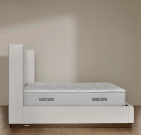 The Mattress The Mattress