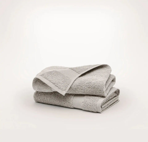 Plush Hand Towels (Pair) Pewter