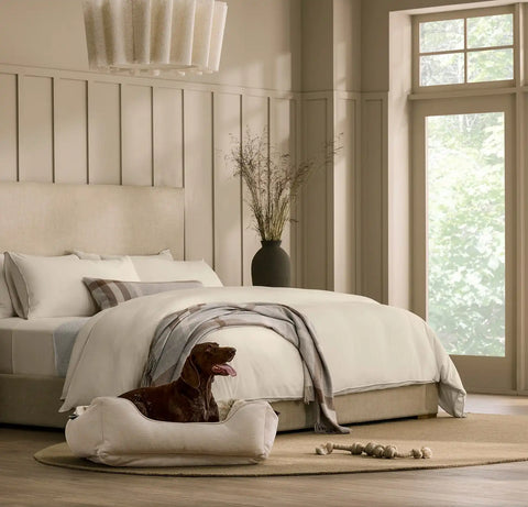 Piped Edge Pet Bed Biscuit