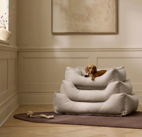 Piped Edge Pet Bed Bone
