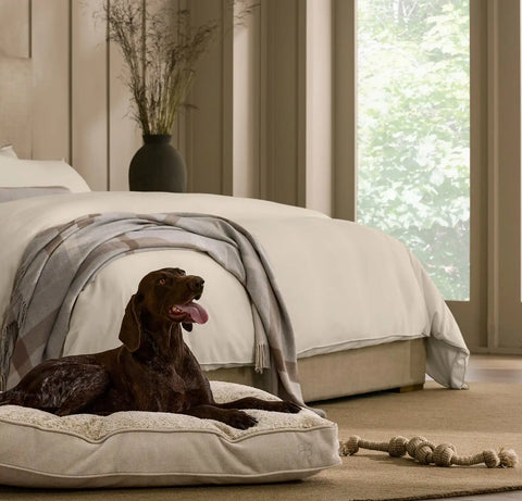 Piped Edge Pet Cushion Biscuit