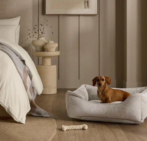 Piped Edge Pet Bed Bone