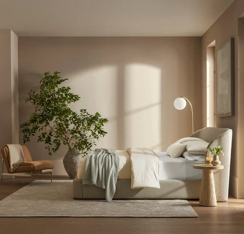 Signature Comforter Set Cream