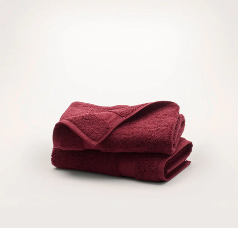 Plush Hand Towels (Pair) Holly