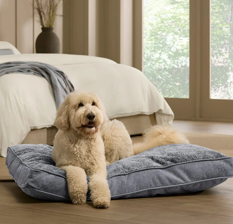 Piped Edge Pet Cushion Water