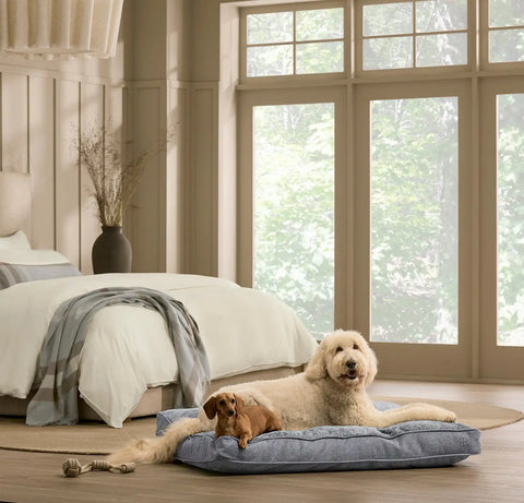 Piped Edge Pet Cushion Water